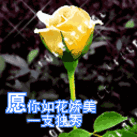 早上好微信祝福语大全早上好微信动态表情图片