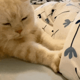 猫子狗子表情包可爱沙雕表情包动图