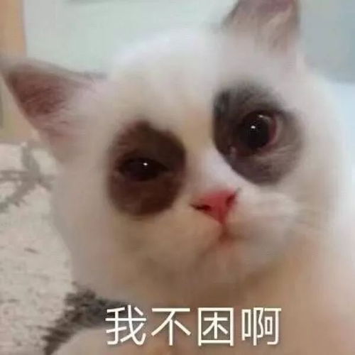 可爱又搞笑的沙雕表情包