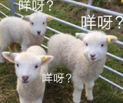 澳大利亚,为什么是对华最不友好的国家之一