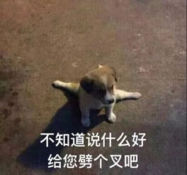 求求网红别再每天p图发自拍了,太假看完腹肌对比图后我崩溃了哈哈哈哈...