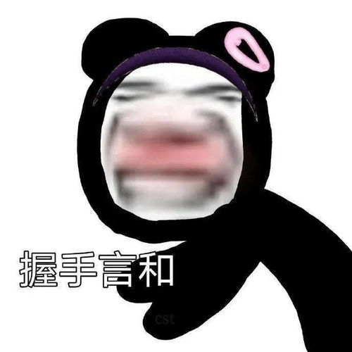 笨蛋猫咪大赏可爱果然是用脑子换的....