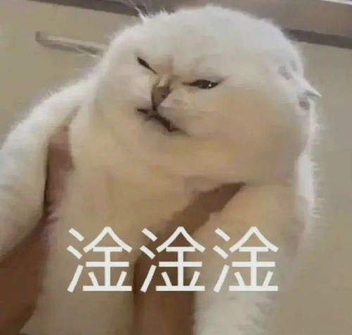 定制蛋糕千万不要用真人照片,否则救命这真的太吓人了