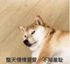 有没有适合单身狗用的表情包