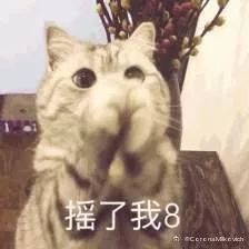 我该打,也该骂,怪我没听你的话