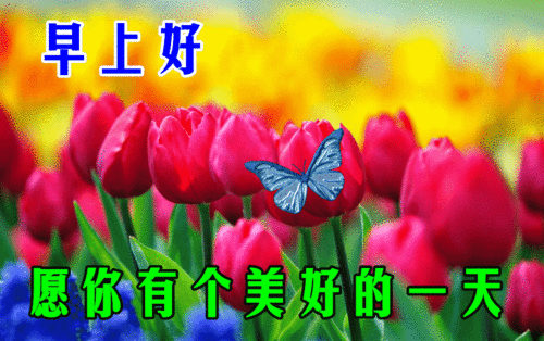 10月5日漂亮的早上好动态表情图片大全,国庆假期早安祝福语