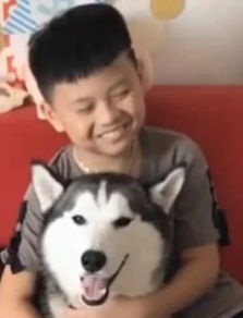 问狗狗撕