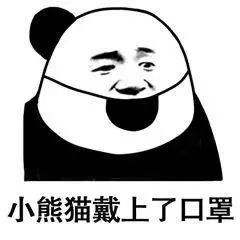 淡定表情包搞笑图片小熊猫