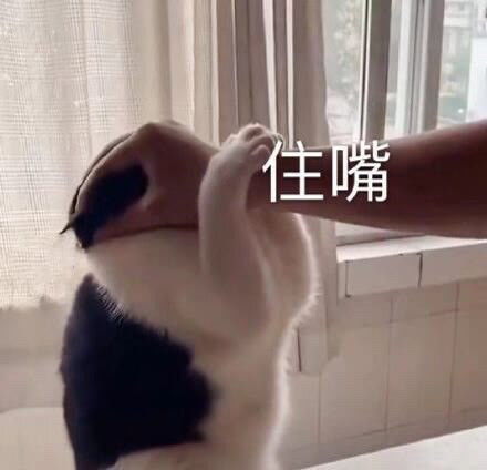 有趣沙雕表情包柠檬树下只有我,酸了