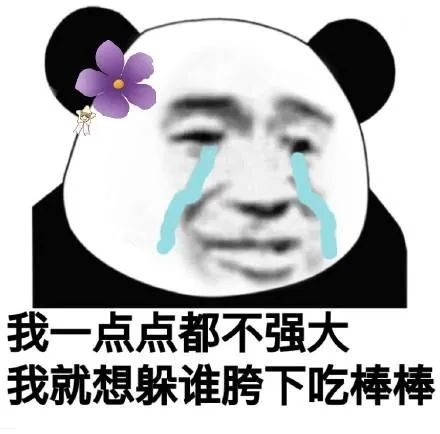 一波又污又沙雕的表情包想要吗
