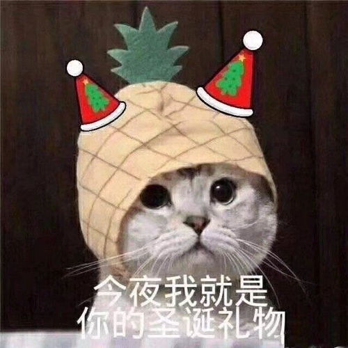 异地,惹女朋友生气该怎么哄女朋友啊