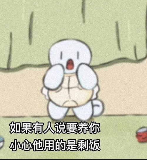 没有人能拒绝杰尼龟太可爱啦表情包合集