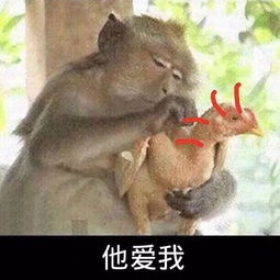 好七年还aa,你算什么男人