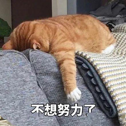直播预告听知名主播谢涛读少年版资治通鉴