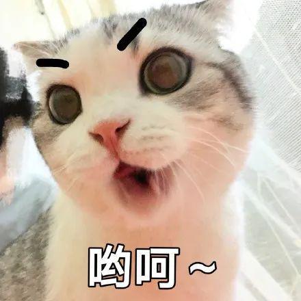 怎么,她不能拒绝吗