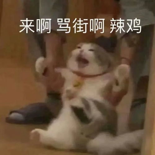 表情包咩嘿嘿