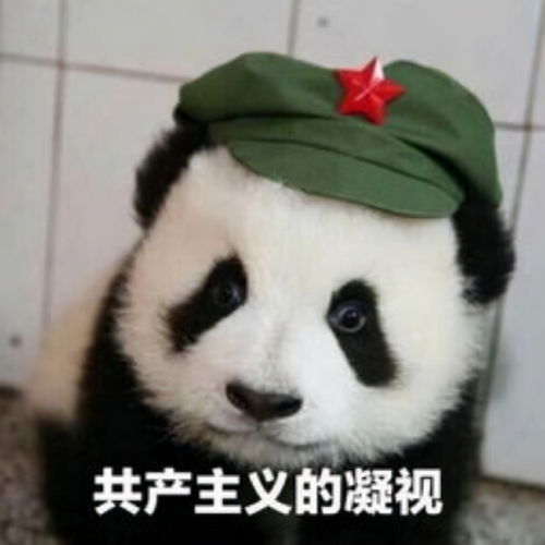 在常州取得助理工程师后,多久可以评中级职称