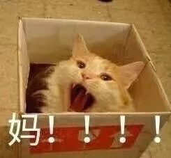 我不想步我妈后尘了