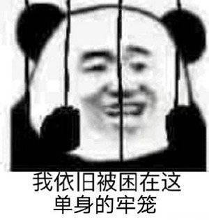 沙雕图片搞笑表情包狗子
