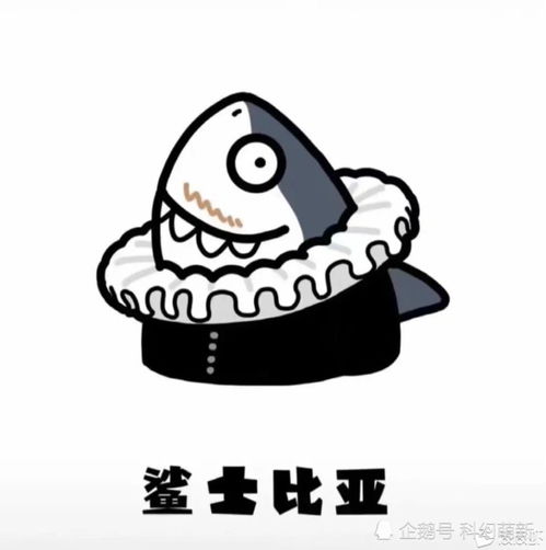 每日一笑,大家都见过什么搞笑的神评
