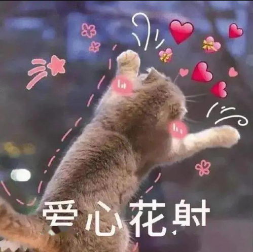 今日立春快来收获东大限定温暖