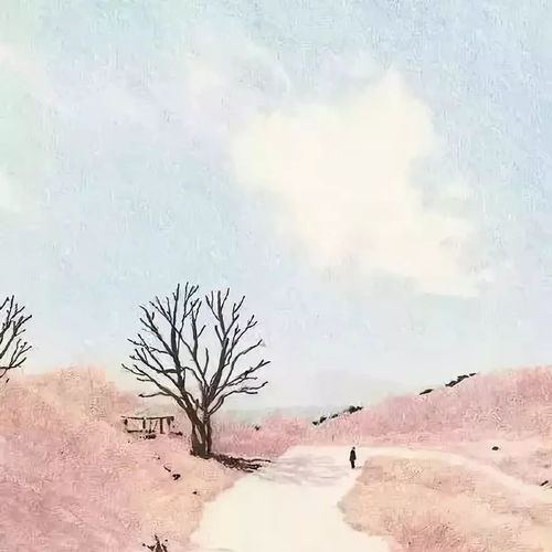 人生,就是一场路过