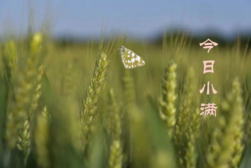 广东进入龙舟水时节澄海周末天气