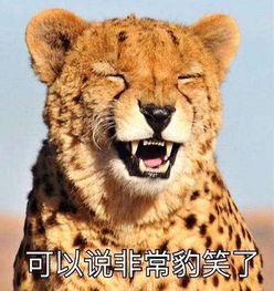 二战搞笑表情包搞笑