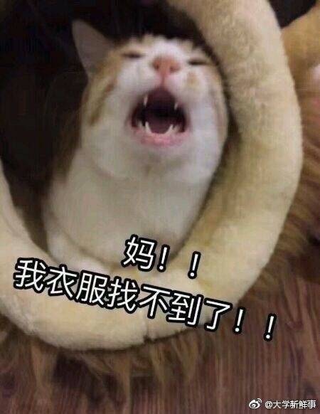 在家的你是不是跟下图一样