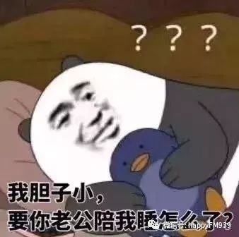 1月3日节目精编