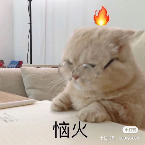 鸽鸽豆角干太难吃了