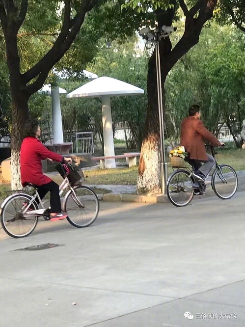 我就要做一个油腻的中年男人呢三俗侠的大杂烩427