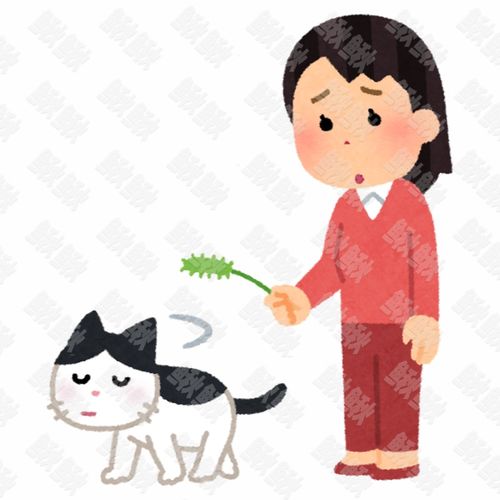 讨厌和女主人关系特别差的小狗狗猫咪小猫手绘卡通插画手绘png儿童插画免扣素材1阿猫阿狗