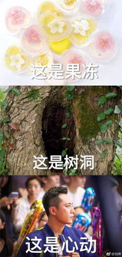 炫朋友做的表情包遭调侃土味情话,刘烨谁说的给我站出来