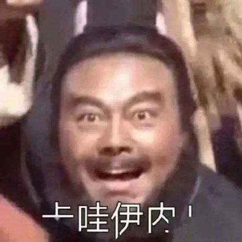 头像平生一顾,至此终年