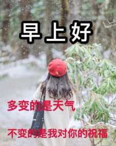 星期三最新漂亮早上好动态美图鲜花带字,早晨好幸福暖心的问候表情图片