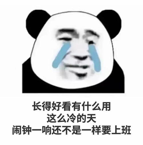 搞笑表情包长得好看有什么用,闹钟一响还不是一样要上班