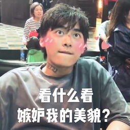 李喵喵玩游戏输了很生气傲娇表情实乃表情包好素材