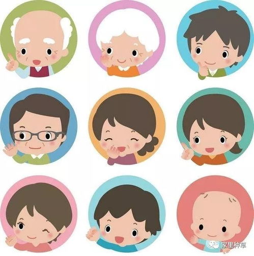 ios共享账号公众号家人公众号和共享相册