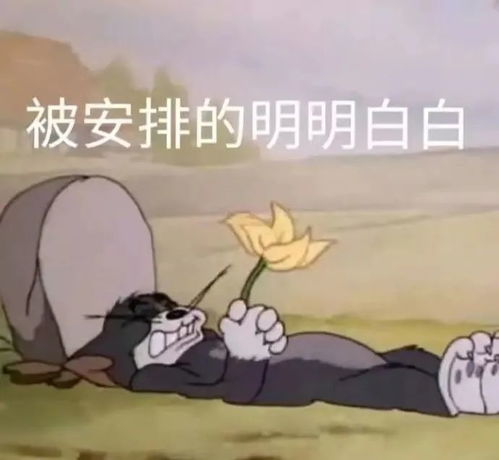 非常不一般的沙雕文案