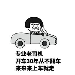 爆笑学车时与教练的那些事表情包版