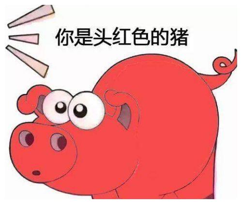 搞笑段子完美的男友不吸烟,不喝酒,不欺骗,不存在老婆