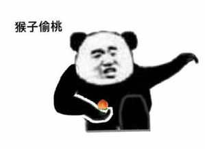 白鹤亮翅什么梗白鹤亮翅表情包