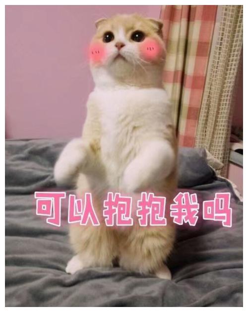 搞笑段子那天60岁的奶奶买了件旗袍,自己十分满意