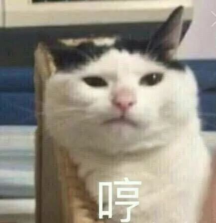 这是一条可爱搞怪的表情包合集