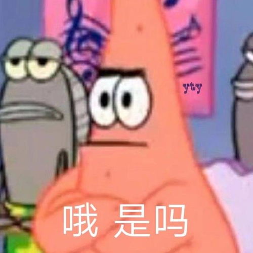 幽默笑话我得记着是哪些产品耽误我看电视剧
