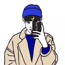 这种漫画是用哪种软件画的把照片画成卡通形式的
