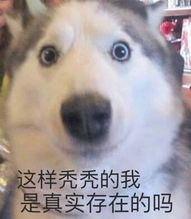 秃头脱发表情包米奇表面上不声不响,其实,学习学到秃头
