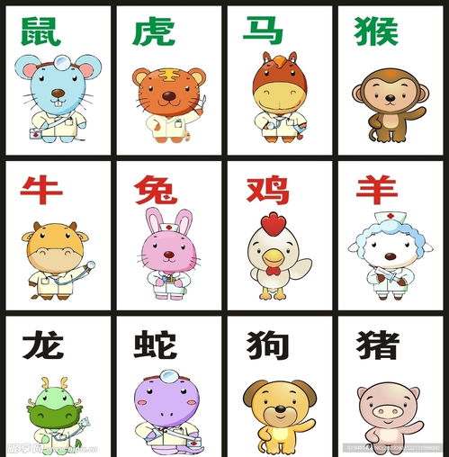 动漫12生肖设计图