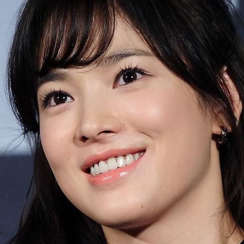 40岁宋慧乔放下爱情,片场拥爱狗,看天看海不看人